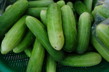 Heap of Fresh cucumbers