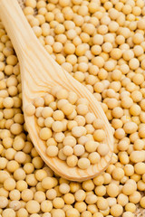 Spoon with dry soybeans