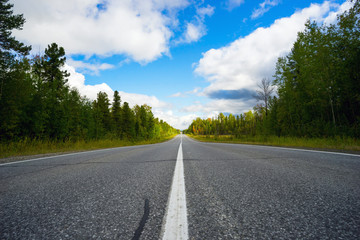 Fototapeta na wymiar Asphalt road with markings in forest .