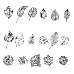 Hand drawn zentangle doodle illustration for adult coloring books 