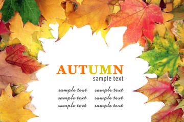 Frame of autumn maple leaves with copy space on white background