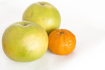 Citrus. Sweetie, Pomelo, mandarin, tangerine.
