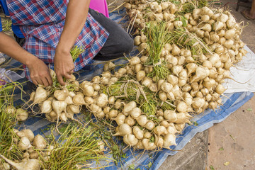 bundle of yam bean tuber on blue canvas background at street market - thailand
(Pachyrhizus erosus )