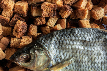 medium-sized fried croutons with dried fish