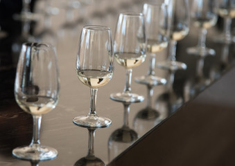 Crystal wine glasses for wine tasting