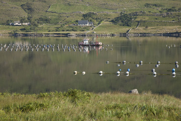 Killary Fjord, Connemara National Park; Galway