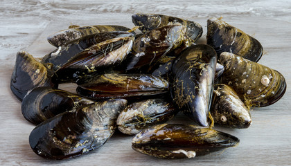 Mussels in the shell