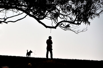 dog parc à San Francisco