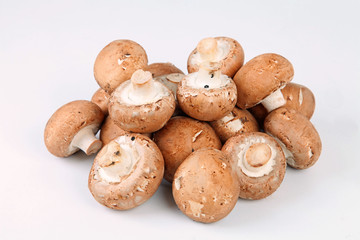 Frische Champignons