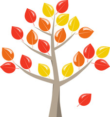 Baum mit bunten Herbstlaub