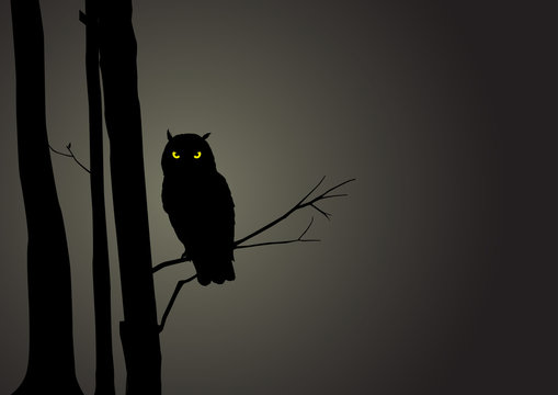 Silhouette Illustration Of An Owl