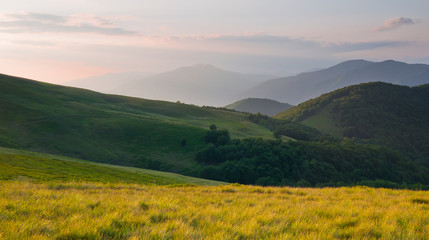 Colorful summer landscape in the Carpathian mountains © physyk