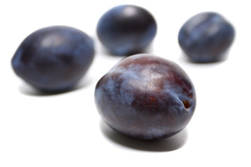 Plum Damson isolated on white background