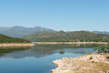 Fototapeta premium Swamp DARNIUS-BOADELLA (Girona)