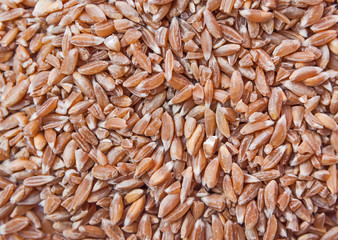 Groats spelt. Background