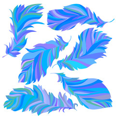 Fototapeta na wymiar Collection of blue feathers
