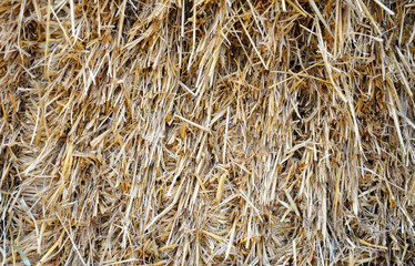 background with dry straw for your design