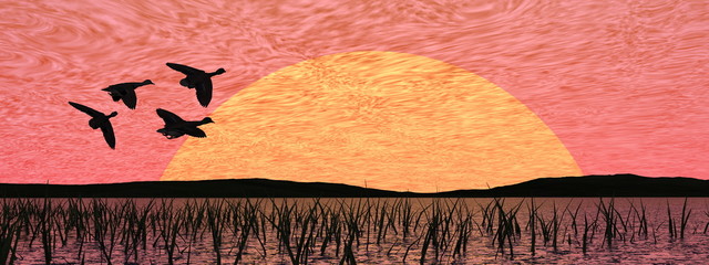 Duck flying by red sunset