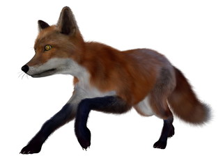 Fototapeta premium Red fox running - 3D render