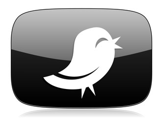 twitter black glossy web modern icon