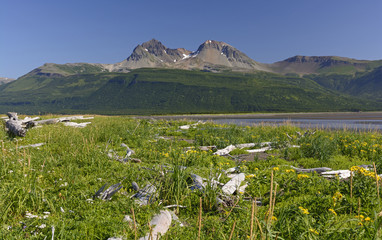 Fototapeta premium Looking across the Meadows