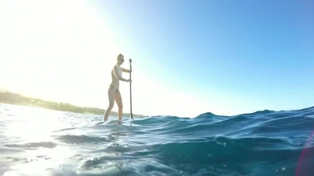 Young Attractive Woman Stand Up Paddle Boarding in Blue Ocean