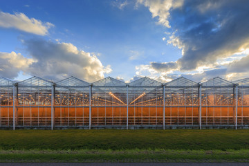 side view of an agricultural greenhouse against a moody sky