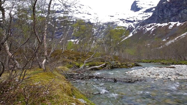 Stream from the glacier