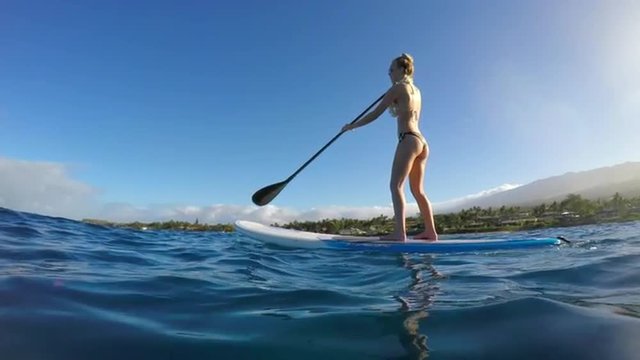 Young Attractive Woman Stand Up Paddle Boarding in Blue Ocean