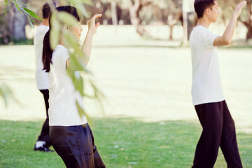 Fototapeta premium People practicing thai chi in park
