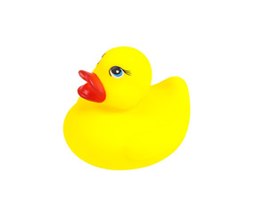 yellow rubber duck isolated on white background, clipping path.