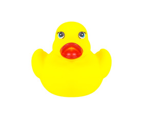 yellow rubber duck isolated on white background, clipping path.