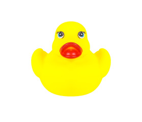 yellow rubber duck isolated on white background, clipping path.