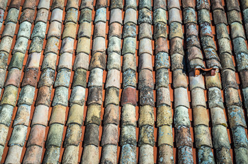 Close up in tiled roof in Dubrovnik, Croatia