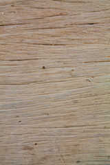 Wooden line texture