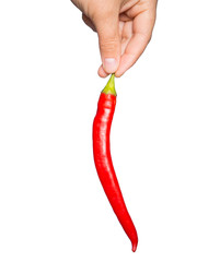 Hot chili pepper in hand