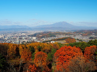 岩山展望台　盛岡市　岩手山