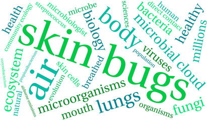 Skin Bugs word cloud on a white background. 