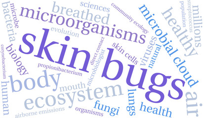 Skin Bugs word cloud on a white background. 