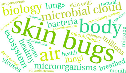 Skin Bugs word cloud on a white background. 