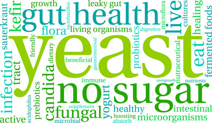 Yeast Infection Word Cloud