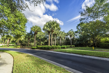 Gated community curvy road in tropics