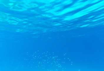 Fototapeta premium Tranquil underwater scene with copy space