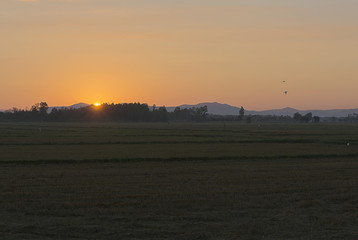 Sunrise at a field in rural Thailand .
