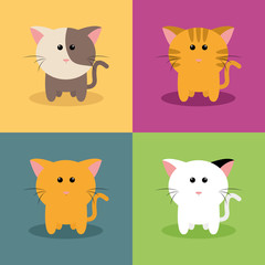 Cute Cartoon cats