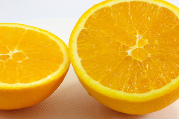 orange closeup pulps