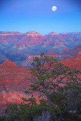 Grand Canyon at night