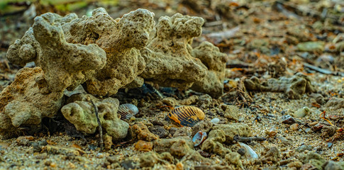 Secluded beach somewhere 518 km from the village Mechka, Ruse district, Bulgaria