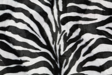 Fototapeta na wymiar Zebra texture background