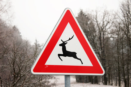 Traffic sign warns about wild animals crossing the winter road